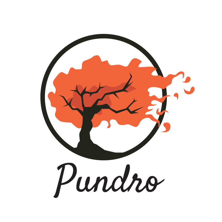 PUNDRO